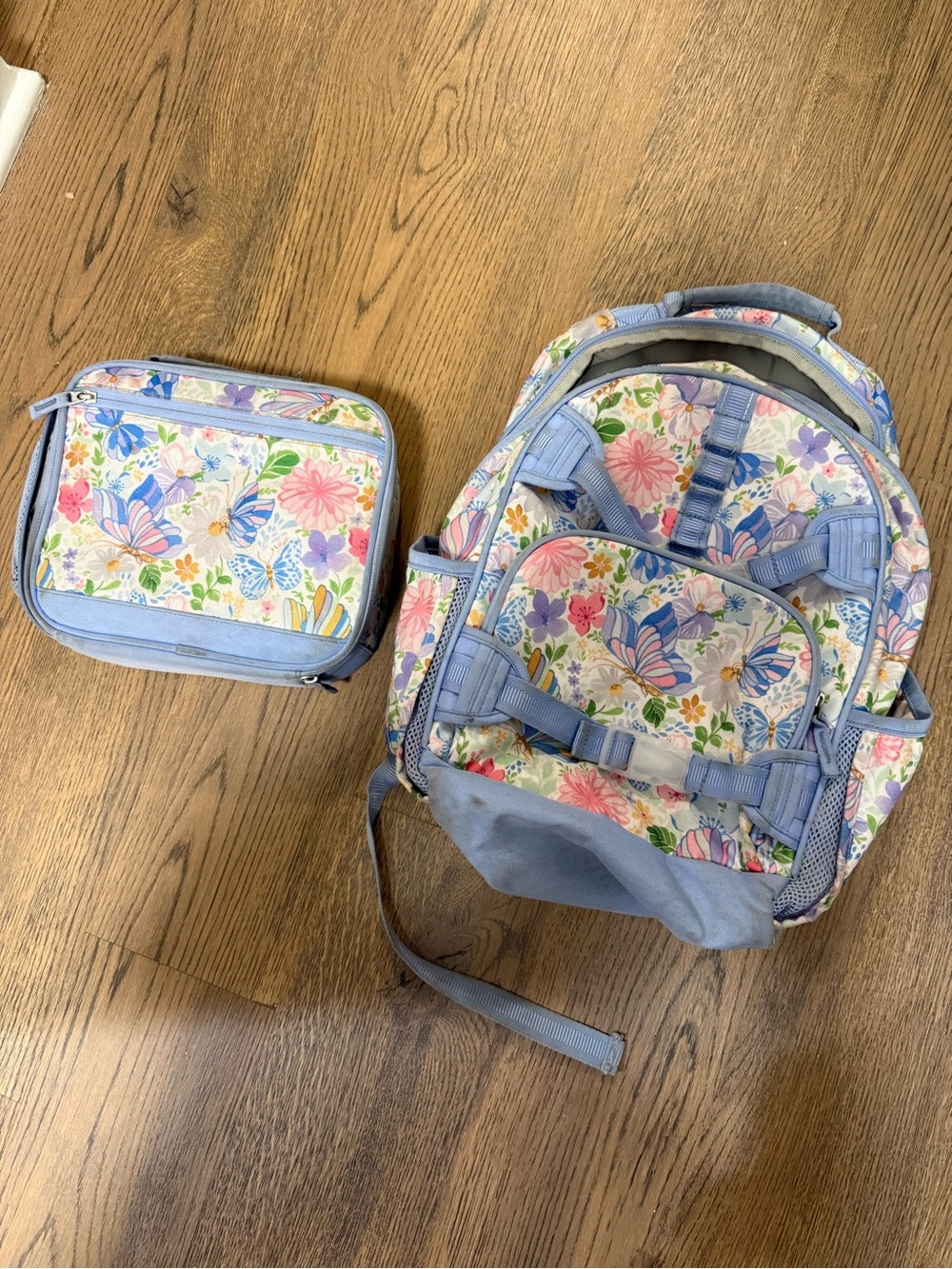 Pottery Barn Mackenzie Butterfly Garden Backpack and Lunch Box